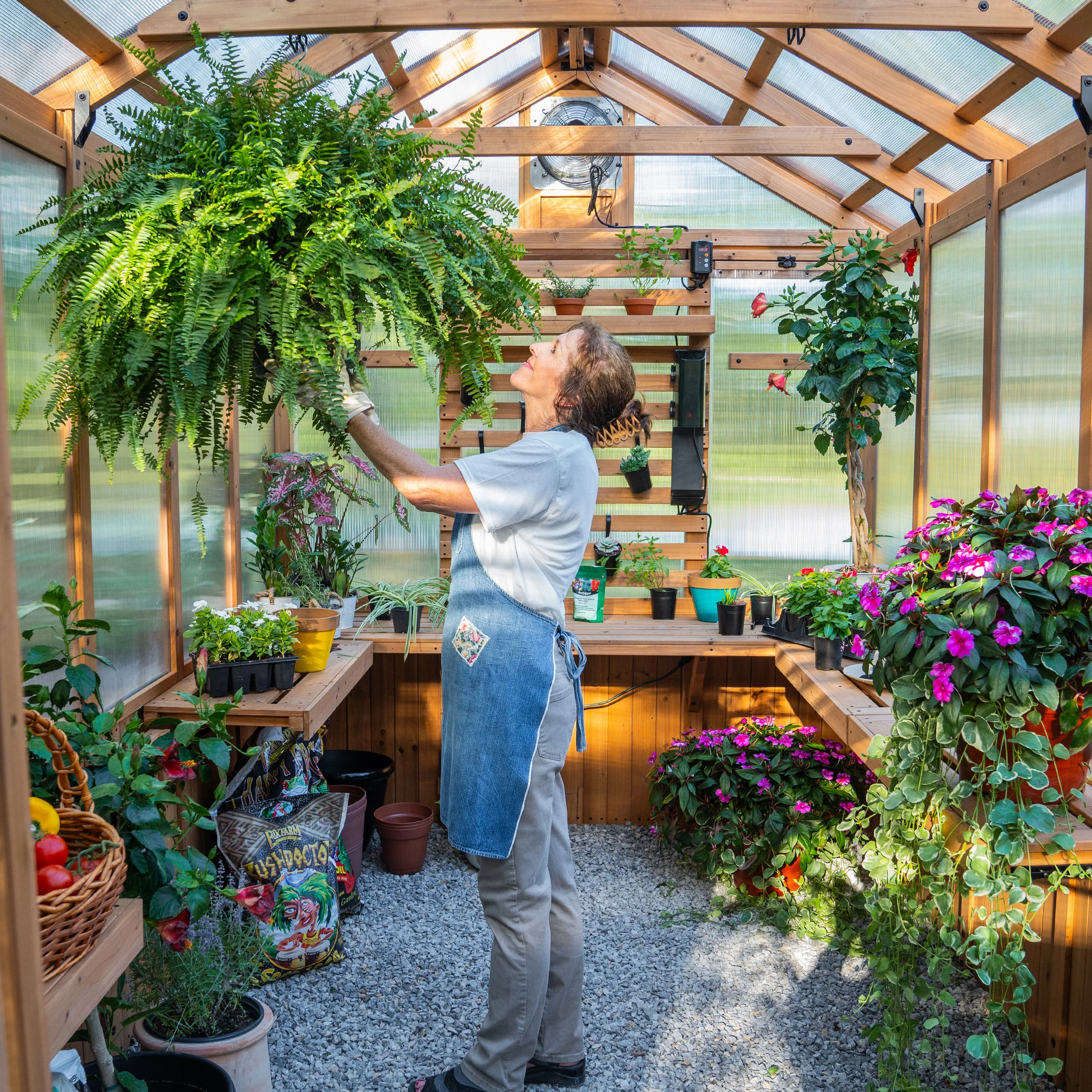Bellerose Greenhouse (11ft x 7ft) - Image 12