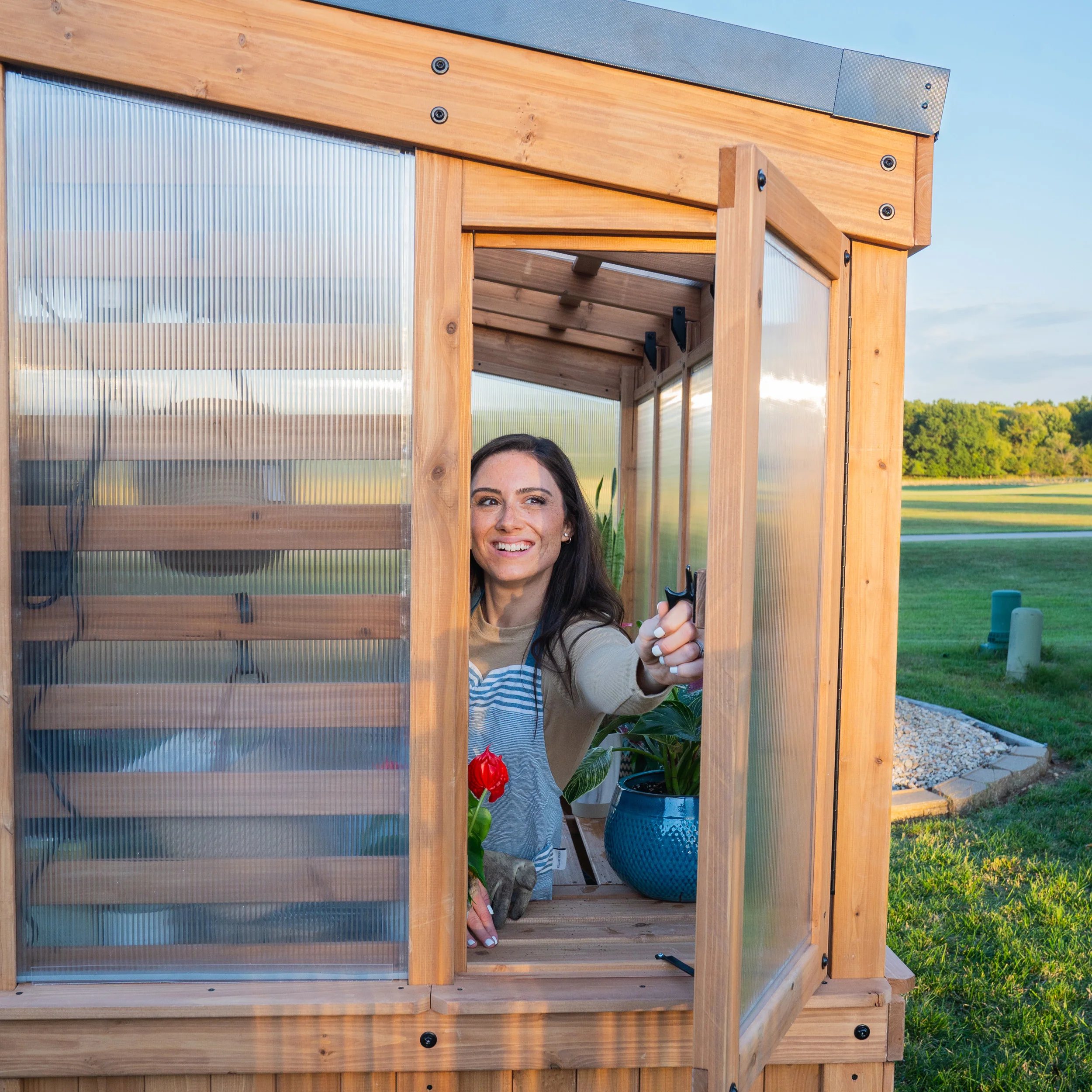 Willow Greenhouse (9ft x 6ft) - Image 11